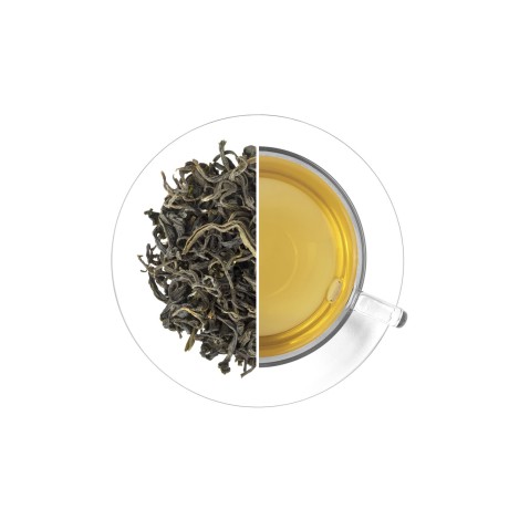 Tea Studio Nilgiri Maofeng, 1 kg