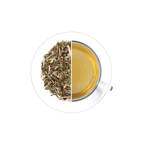 Máta peprná ČR, 40 g