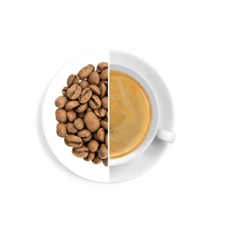 Costa Rica Palmichal Black Honey 60 g - káva