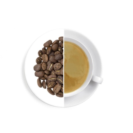 Guatemala Antigua Finca Medina SHB