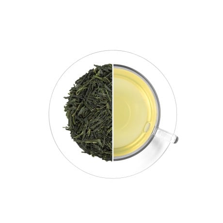 BIO Shincha - čerstvá sklizeň 2026, 50 g