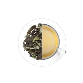 Malawi Green Mint, 500 g