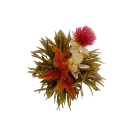 Bai He Xian Zi - 