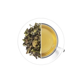 Tea Studio Nilgiri Peony, 1 kg