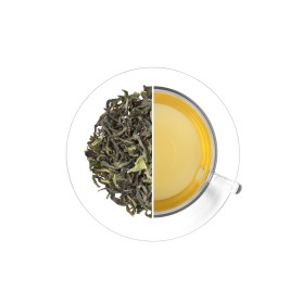 Darjeeling Marybong FTGFOP1 - First Flush, 1 kg