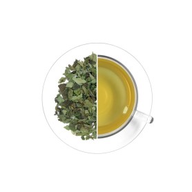 Meduňka lékařská, 500 g