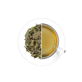 Nana - máta (list), 250 g