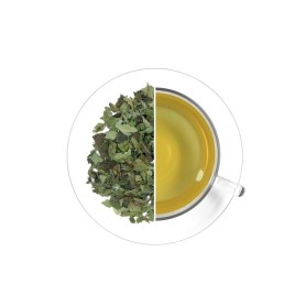 Meduňka lékařská ČR, 500 g