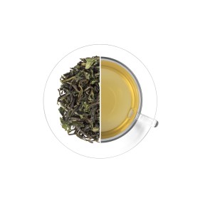 India Darjeeling Mission Hill SFTGFOP1 - čerstvá sklizeň 2025, 50 g