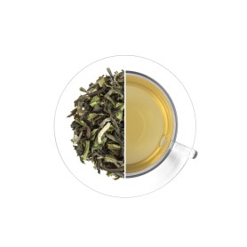 India Darjeeling Seeyok FTGFOP1 Spring Wonder - čerstvá sklizeň 2025, 50 g