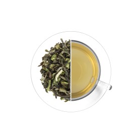 India Darjeeling Seeyok FTGFOP1 Spring Wonder - čerstvá sklizeň 2025, 50 g